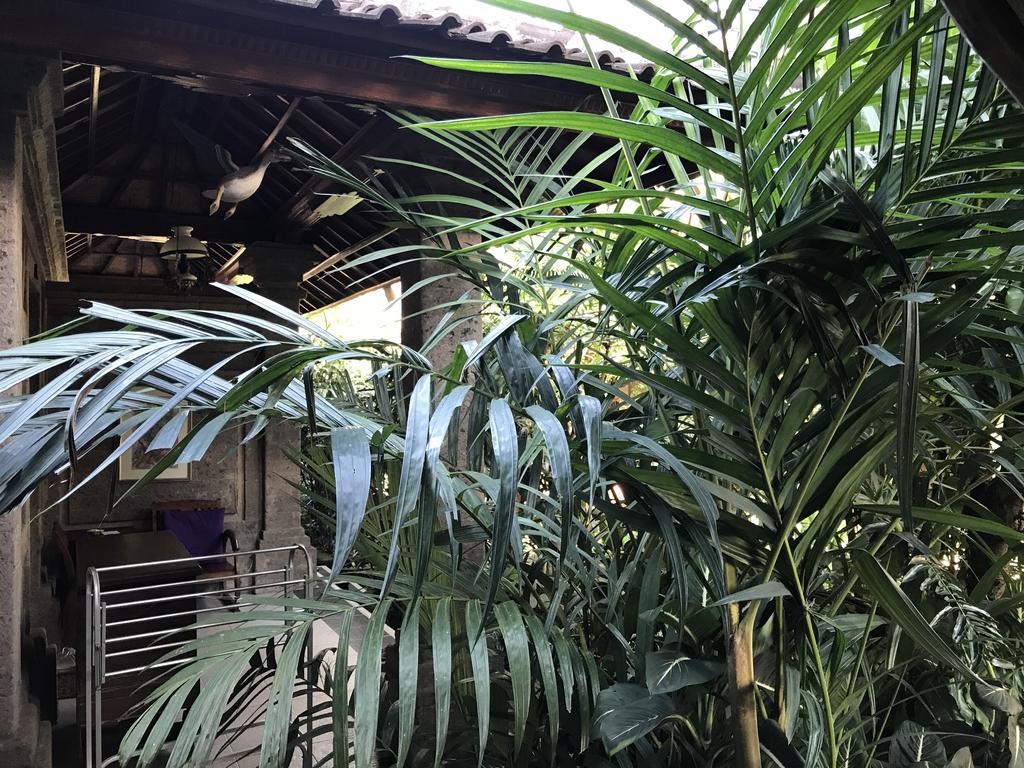 涅瓦纳民宿 乌布 外观 照片